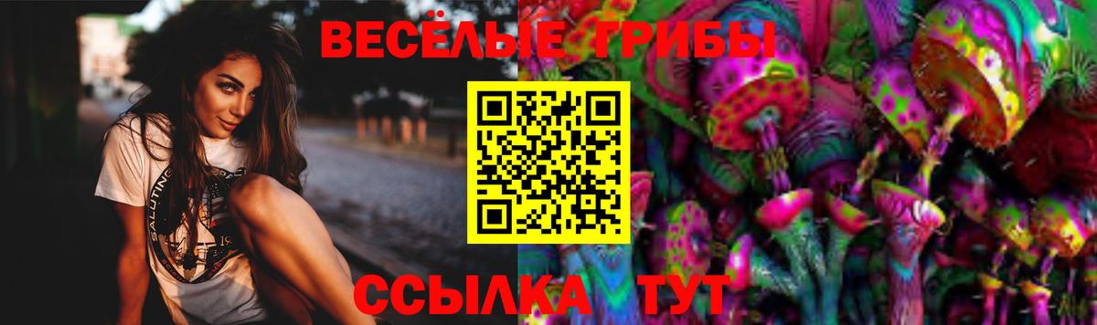 Псилоцибиновые грибы ЛСД Новосибирск